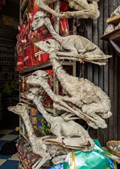 Witches Market, La Paz, Bolivia
