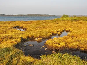 Grasses Prints: Wolf Lake on the tundra in Nunavik, Quebec, Canada