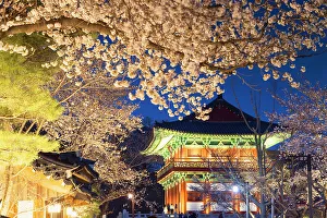 Cherry Blossom Prints: Woljeonggyo Bridge and cherry blossom at dusk, Gyeongju, South Korea