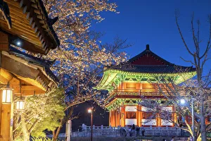 Blossom Prints: Woljeonggyo Bridge at dusk, Gyeongju, South Korea