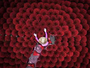 Straight Down Prints: Woman arranging incense sticks to dry, Hanoi, Vietnam. (MR)