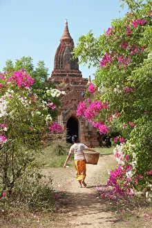 Pagodas Prints: A woman with a basket in front of an ancient Buddhist temple of the Bagan Valley