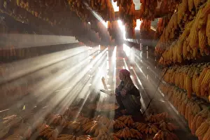 Interior Prints: Woman and child inside corn house, Mu Cang Chai, Northwest Vietnam, Asia
