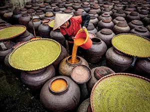Factory Prints: Woman with conical hat pouring soy sauce into traditional jars, Hanoi, Vietnam. (MR)