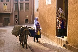 Iranian Gallery: Woman and her donkey, Abyaneh near Kashan, Isfahan province, Iran