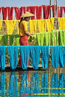 Images Dated 23rd April 2020: Woman hanging dyed yarn from a boat to dry in a traditional weaving village on Lake Inle
