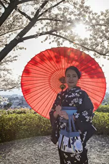 Images Dated 30th March 2018: Woman in kimono under cherry blossom, Kyoto, Kansai, Japan (MR)
