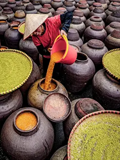 Factory Prints: Woman making soy sauce in traditional clay jars, Hanoi, Vietnam. (MR)