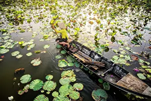 Floating Prints: Woman navigating a boat through lotus leaves on a river in the Mekong Delta, Vietnam. (MR)