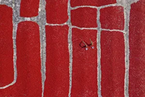 Earth from Above Gallery: Woman picking red chilies, Bogura, Bangladesh