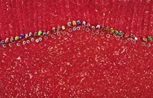 Earth from Above Gallery: Woman picking red chilies, Bogura, Bangladesh