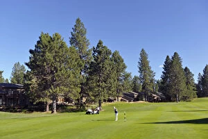 Woman playing golf, Widgi Creek Golf course, Bend, Oregon, USA MR