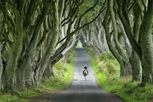 Images Dated 20th September 2021: Woman Riding Horse along Dark Hedges Road, County, Antrim