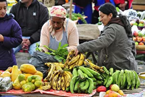 Seller Gallery: Woman selling banana at a Indian market in Silvia, Guambiano Indians, Colombia, South