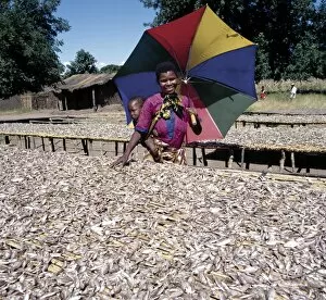Indigenous People Collection: A woman shades her child as she inspects a rich fish