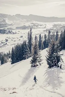 Activity Prints: A woman skiing downhill at sunset on a winter afternoon in Alpe di Siusi valley