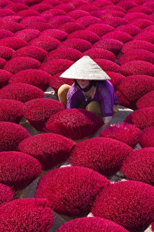 A woman sorting out the incense sticks drying in the sun, Hung Yen province, Vietnam