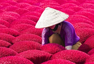 A woman sorting out the incense sticks drying in the sun, Hung Yen province, Vietnam