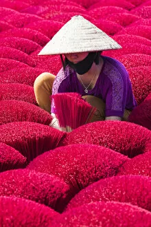 Images Dated 16th April 2019: A woman sorting out the incense sticks drying in the sun, Hung Yen province, Vietnam