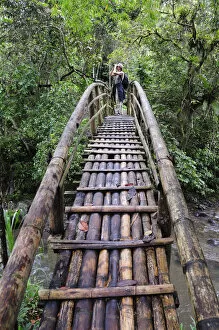 Woman standing on bamboo bridge, Terradentro, Colombia, South America