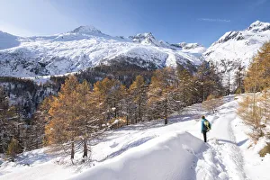 Girls Prints: Woman is walking after autumn snowfall, Alpe dell Oro, Chiareggio, Valmalenco