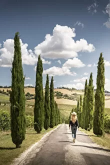 Images Dated 25th September 2020: Woman walking through cypress trees and vineyards in Marche region, Italy