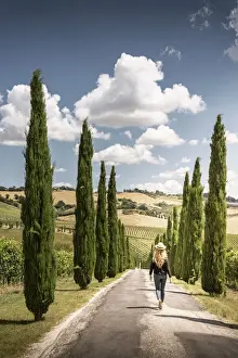Southern Italy Prints: Woman walking through cypress trees and vineyards in Marche region, Italy
