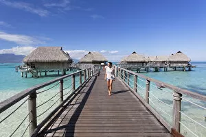 Images Dated 19th October 2015: Woman walking on jetty of overwater bungalows of Sofitel Hotel, Moorea, Society Islands