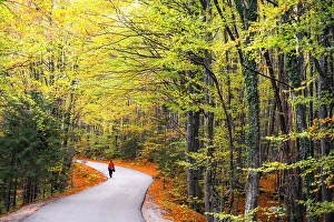 Exploring Prints: Woman walking at Plitvice Lakes, Croatia. (MR)