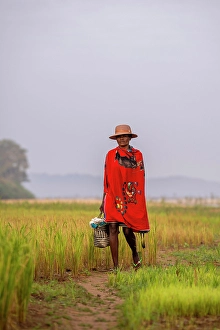 Shawl Prints: Woman walking through rice field. Madagascar, Africa. Manambolo