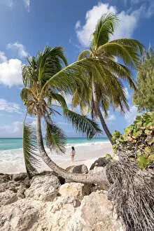 Barbados Gallery: Woman walks on the beach framed from curved palm trees, Dover Beach, Oistins