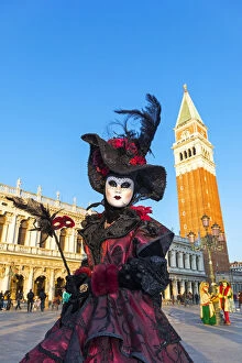 A woman wearing a mask and beautiful costume stands in St Marks square during