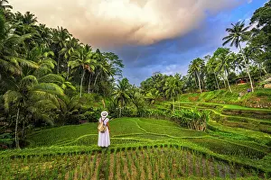 Cloudscape Prints: Woman in white dress and sun hat standing in the middle of green rice terraces