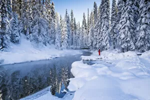 Freezing Gallery: Woman in Winter Landscape, Emerald Lake, Yoho National Park, British Columbia, Canada