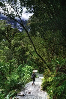 A woman wolking on a path through the forest in the Fjordland National Park, New Zealand