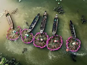 Straight Down Prints: Women forming circular patterns with collected lily flowers in the Mekong Delta