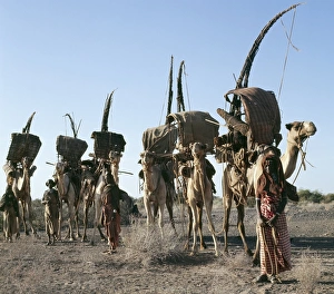 African Culture Gallery: Women of the nomadic Gabbra tribe prepare to move their