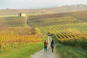 Harvest Prints: Two women stroll through vineyards in autumn. Colli Piacentini, Piedmont, Italy