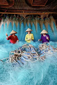 Nets Prints: Women in a traditional ao dai repairing a blue fishing net, Vietnam. (MR)
