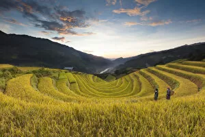 Images Dated 14th December 2017: Two women walk though fields of rice terraces at sunset, Mu Cang Chai Yen Bai Province