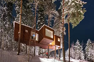 Images Dated 31st October 2022: Wood cottage with large panoramic windows, Tree hotel, Harads, Lapland, Sweden