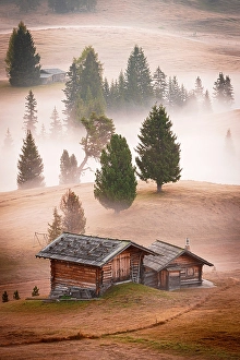 Farmhouse Prints: Wood farm huts on rolling meadows in the autumn mist