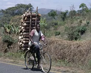 One Man Collection: Wood sellers carry heavy loads of wood on their bicycles
