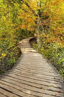 Country Lane Prints: Wooden Boardwalk Through Autumn Wood, Plitvice National Park, Croatia