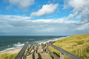Grass Collection: Wooden boardwalk by beach, Wenningstedt, Sylt, Nordfriesland, Schleswig-Holstein, Germany