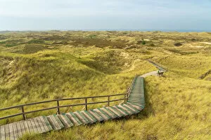 Images Dated 12th January 2023: Wooden boardwalk among grass covered sand dune landscape near Norddorf, UNESCO, Amrum island