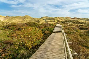 Images Dated 12th January 2023: Wooden boardwalk among grass covered sand dune landscape near Norddorf, UNESCO, Amrum island