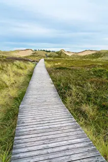 Wooden boardwalk among grass covered sand dune landscape near Norddorf, UNESCO, Amrum island, Nordfriesland, Schleswig-Holstein, Germany