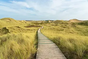 Wooden boardwalk among grass covered sand dune landscape near Norddorf, UNESCO, Amrum island, Nordfriesland, Schleswig-Holstein, Germany