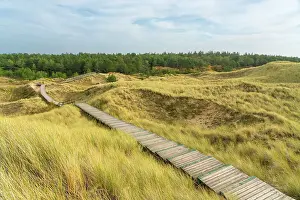 Wooden boardwalk among grass covered sand dune landscape near Norddorf, UNESCO, Amrum island, Nordfriesland, Schleswig-Holstein, Germany